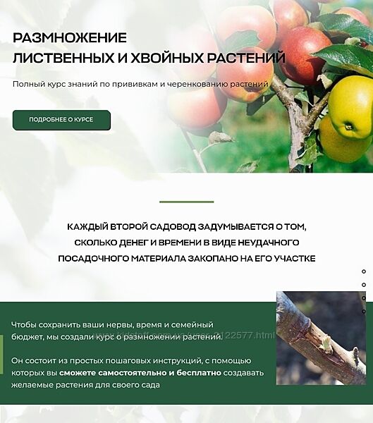 Владимир Задоркин Размножение лиственных и хвойных растений 2024