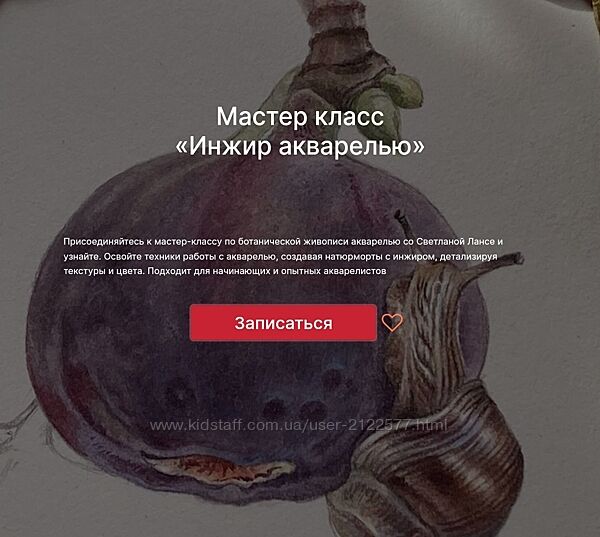 Светлана Лансе lectoroom Инжир акварелью 2024