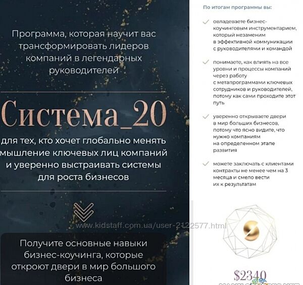 Михаил Саидов, Елена Долинская - Система 20