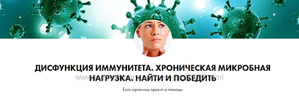 Дарья Ермишина Дисфункция иммунитета. Хроническая микробная нагрузка