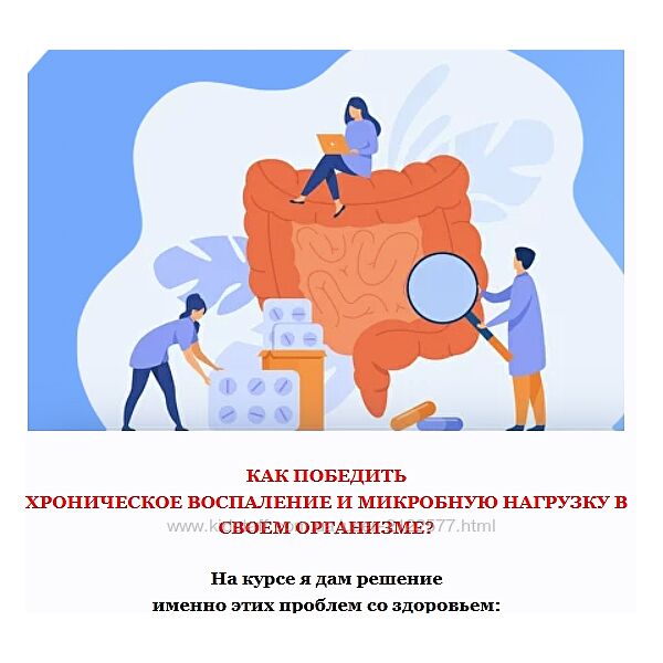 Дарья Ермишина Хроническое воспаление и микробная нагрузка 4.0. 2023