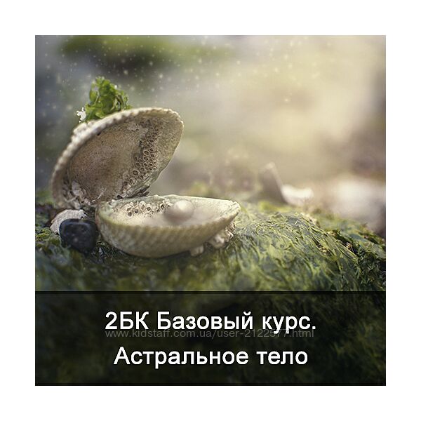 Ксения Меньшикова 2БК Базовый курс. Астральное тело