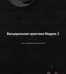 Егор Москалёв Висцеральная практика. Модуль 2 