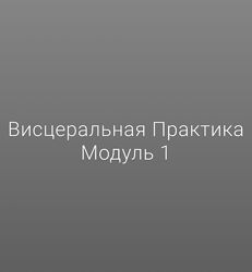 Егор Москалёв Висцеральная практика. Модуль 1