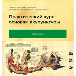 Дмитрий Тимофеев  Практический курс основам акупунктуры. Модуль 2 2024