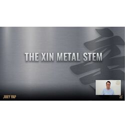 Joey Yap Academy Небесный Ствол Металла Синь в Ци Мэнь 2024