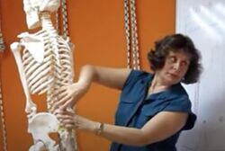 Наталья Королева набор Курсов - Упражнений 