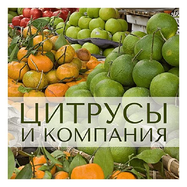 Анна Зворыкина Цитрусы и компания 2024