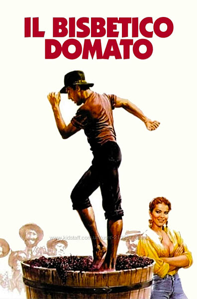 Всеволод Зеленин Кинокоучинг Укрощение строптивого 2024