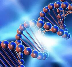 Genetics FY Практический курс по детоксу эстрогенов. Тариф Я сам 2024