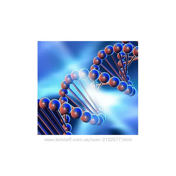 Genetics FY Практический курс по детоксу эстрогенов. Тариф Я сам 2024