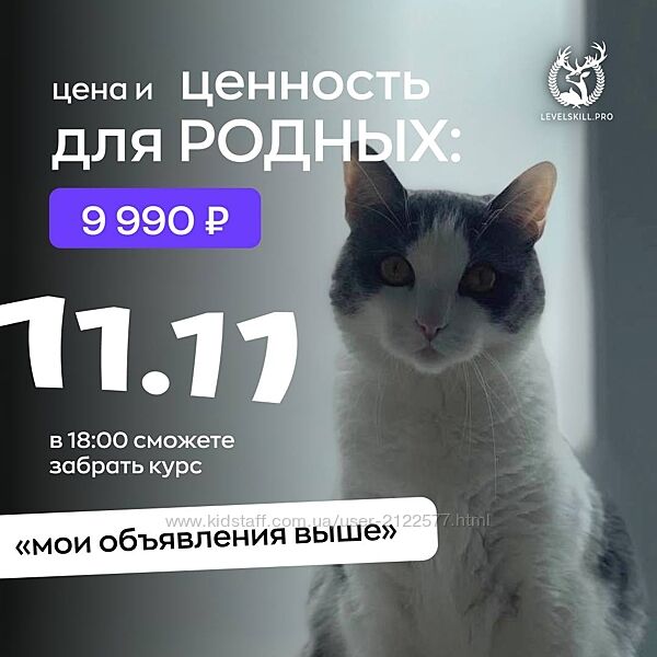 Владимир Шамо Мои объявления выше. Курс по авито 2024