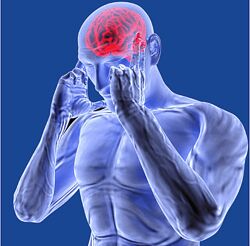 Николай Струков Метод P-DTR 2024 Модуль 3