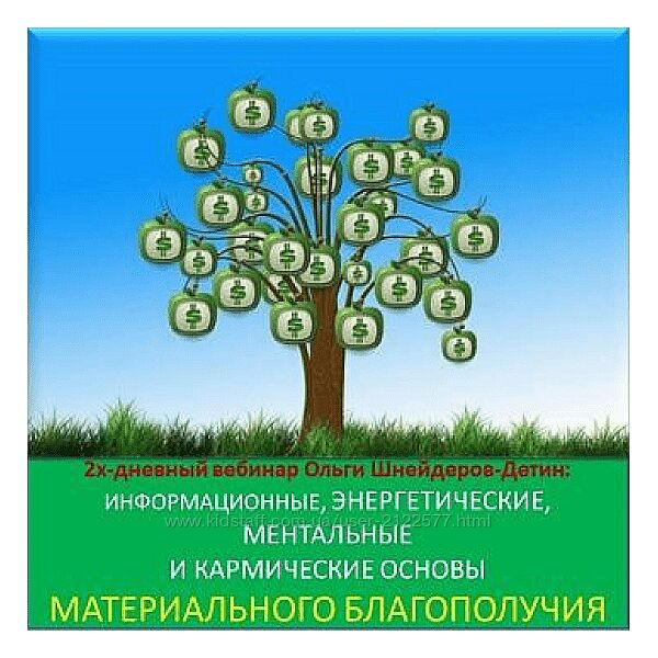 Ольга Шнейдеров-Детин Вебинар Основы материального благополучия 2024