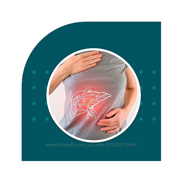 Елена Прудникова Гайд Нарушение оттока желчи