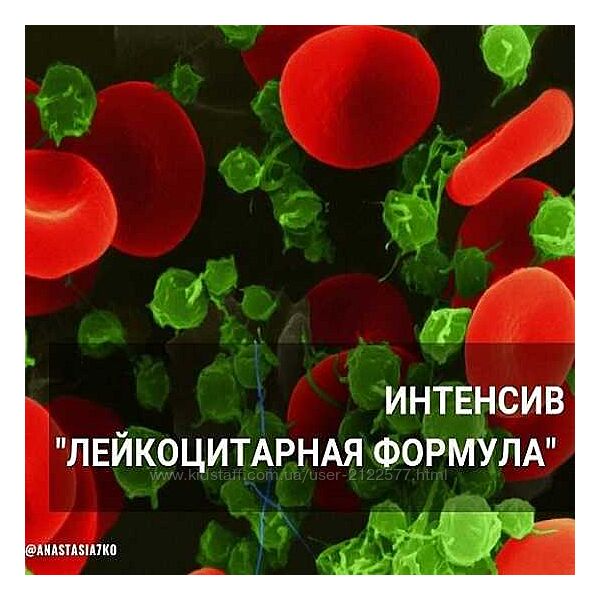 Анастасия Семко Лейкоцитарная формула 2024