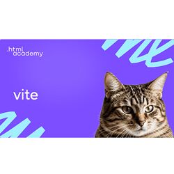 HTML Academy Профессиональный онлайн-курс Vite 2024