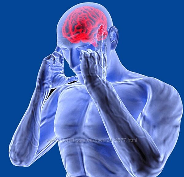 Николай Струков P-DTR 13 несчастий руки 2024