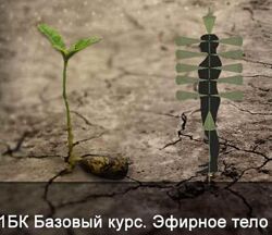 Ксения Меньшикова 1БК Базовый курс. Эфирное тело. Без матрицы и книги