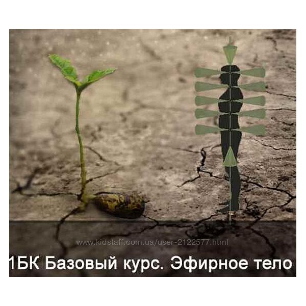 Ксения Меньшикова 1БК Базовый курс. Эфирное тело. Без матрицы и книги