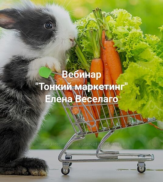 Елена Веселаго  Тонкий маркетинг 2024