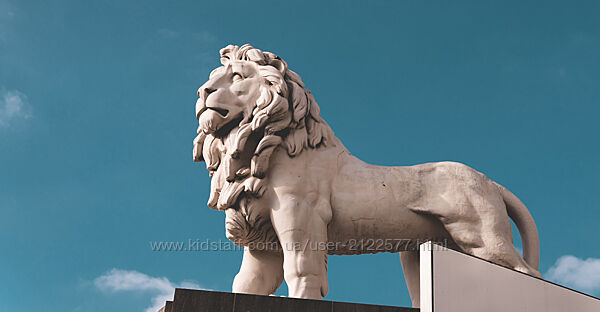 edunano Интеллектуальная собственность - создание, использование, защита