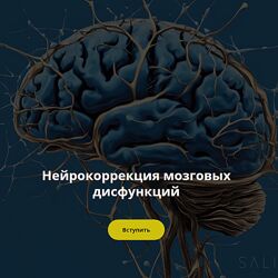 Салима Саиди Нейрокоррекция мозговых дисфункций. Ноябрь 2024