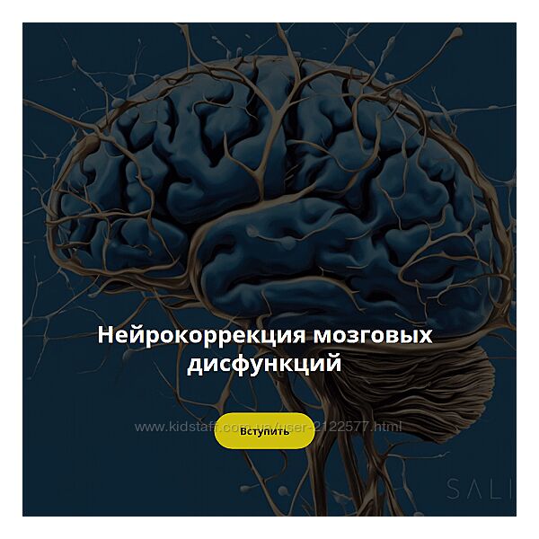 Салима Саиди Нейрокоррекция мозговых дисфункций. Ноябрь 2024