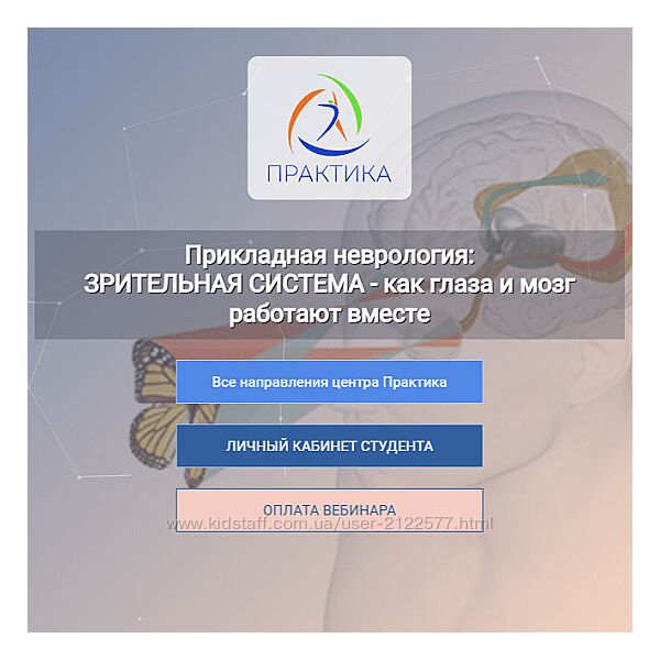 Мария Недре Прикладная неврология Зрительная система - как глаза и мозг
