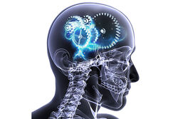 Хосе Паломар Метод P-DTR Семинар 2021 года