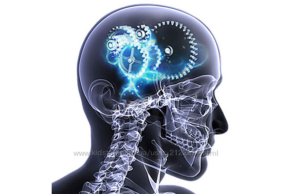 Хосе Паломар Метод P-DTR Семинар 2021 года