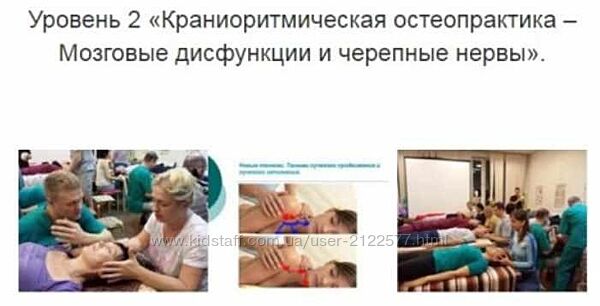 Александр Смирнов Уровень 2 Краниоритмическая остеопрактика  Мозговые 
