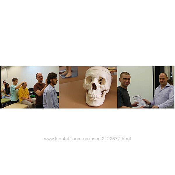 Александр Смирнов Уровень 5 Системная остеопрактика -  Точка здоровья