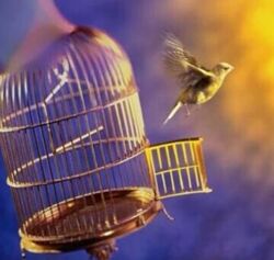 Симорон от Бурланов 2024 Петра Бурлан, Петр Бурлан