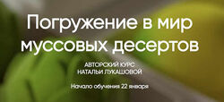 Наталья Лукашова Погружение в мир муссовых десертов Тариф Кондитерпрофи