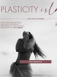 Евгения Мишустина Plasticity Island. Step 0. Тариф Самостоятельный 2024