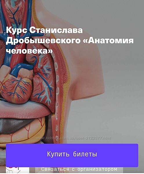 Станислав Дробышевский Анатомия человека. Лекция 1 - 10 2024