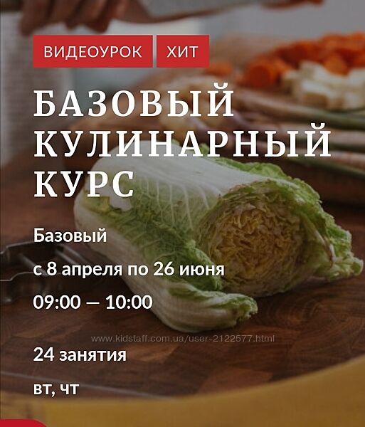 Novikov School Базовый кулинарный курс 2024