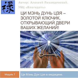 Алексей Левандовский Ци Мэнь в медицине часть 3 Транскрибация 2024