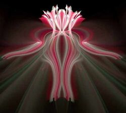 Настройка связи мозга и сердца Хари Андри Винарсо