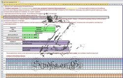 Программа расчета Здоровья Айрэн По, Джули По