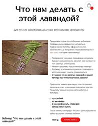 Анна Зворыкина Ингредиенты что нам делать с этой лавандой 2024