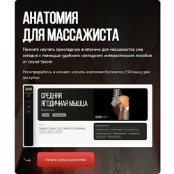 Максим Волков Анатомия для массажиста 2024 Grand Secret Тариф Для профи