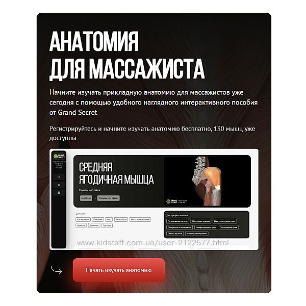 Максим Волков Анатомия для массажиста 2024 Grand Secret Тариф Для профи