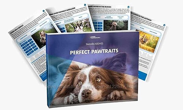 Тамара Кедвес Идеальные Pawtraits 2024