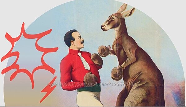  Марина Майорова  Управление конфликтами 2024