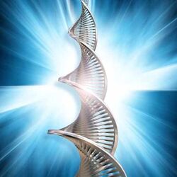 Кундалини Рейки Платина Оле Габриэльсен, Марияна Габриэльсен