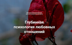 Станислав Раевский Глубинная психология любовных отношений МААП