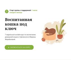 Марина Жеребилова Воспитанная кошка под ключ