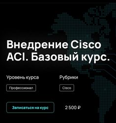 Алексей Гусев Внедрение Cisco ACI. Базовый курс NFE 2024